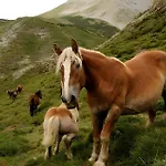 El Mirador De Babia Riolago