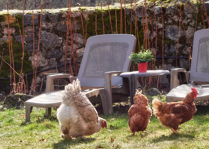 El Mirador De Babia * Riolago