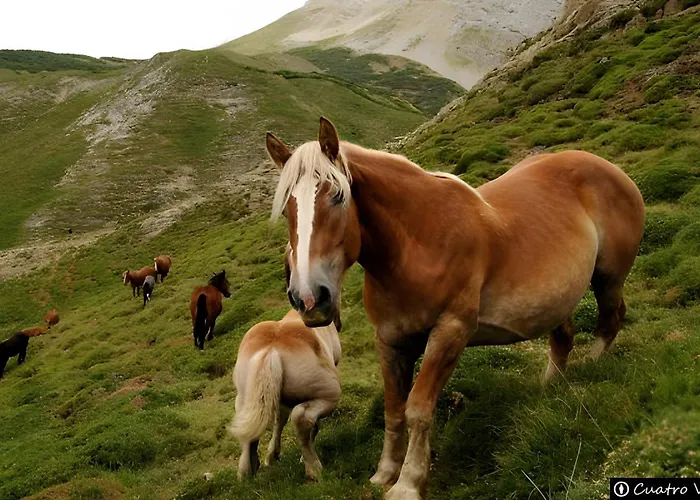 El Mirador De Babia Lejlighed *
