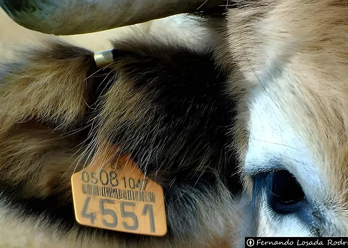 Lejlighed El Mirador De Babia